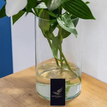 Apartamento Baltini Premium Old Town *