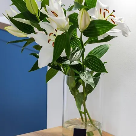 Baltini Premium Old Town *