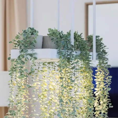 Baltini Premium Old Town