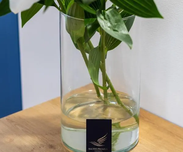 Διαμέρισμα Baltini Premium Old Town *