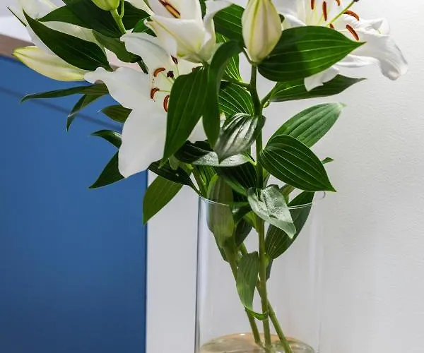 Baltini Premium Old Town *