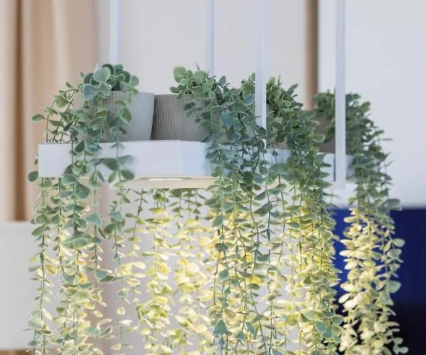 Baltini Premium Old Town