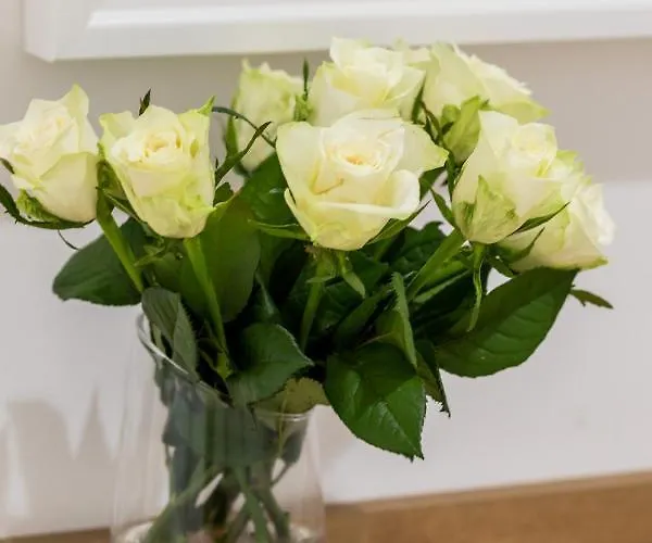 Baltini Premium Old Town